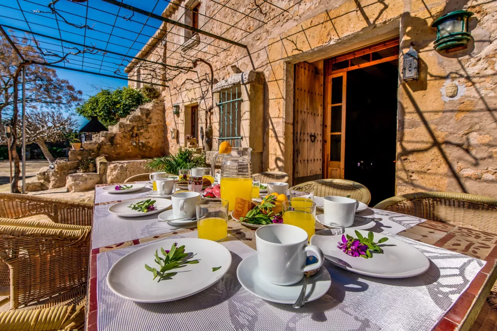 Finca Can Maria Costitx-Terrace