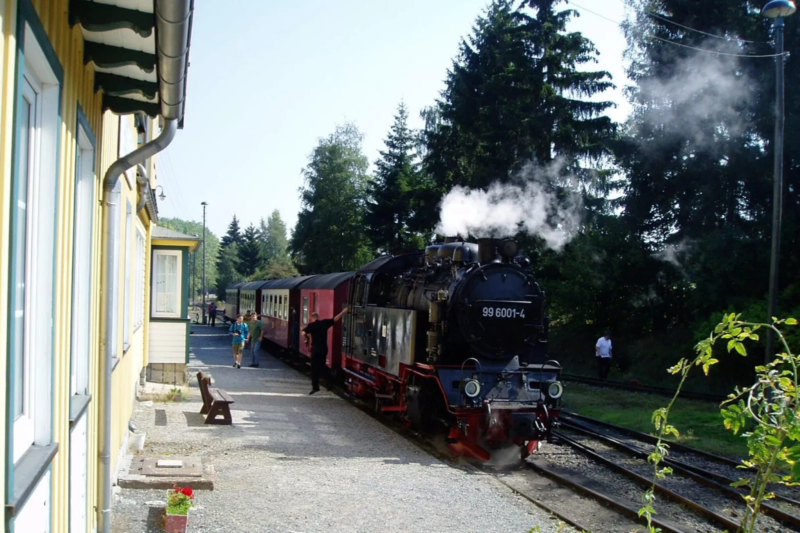 Ferienhaus in Hasselfelde - Haus 509 Auerhahn - 10263395