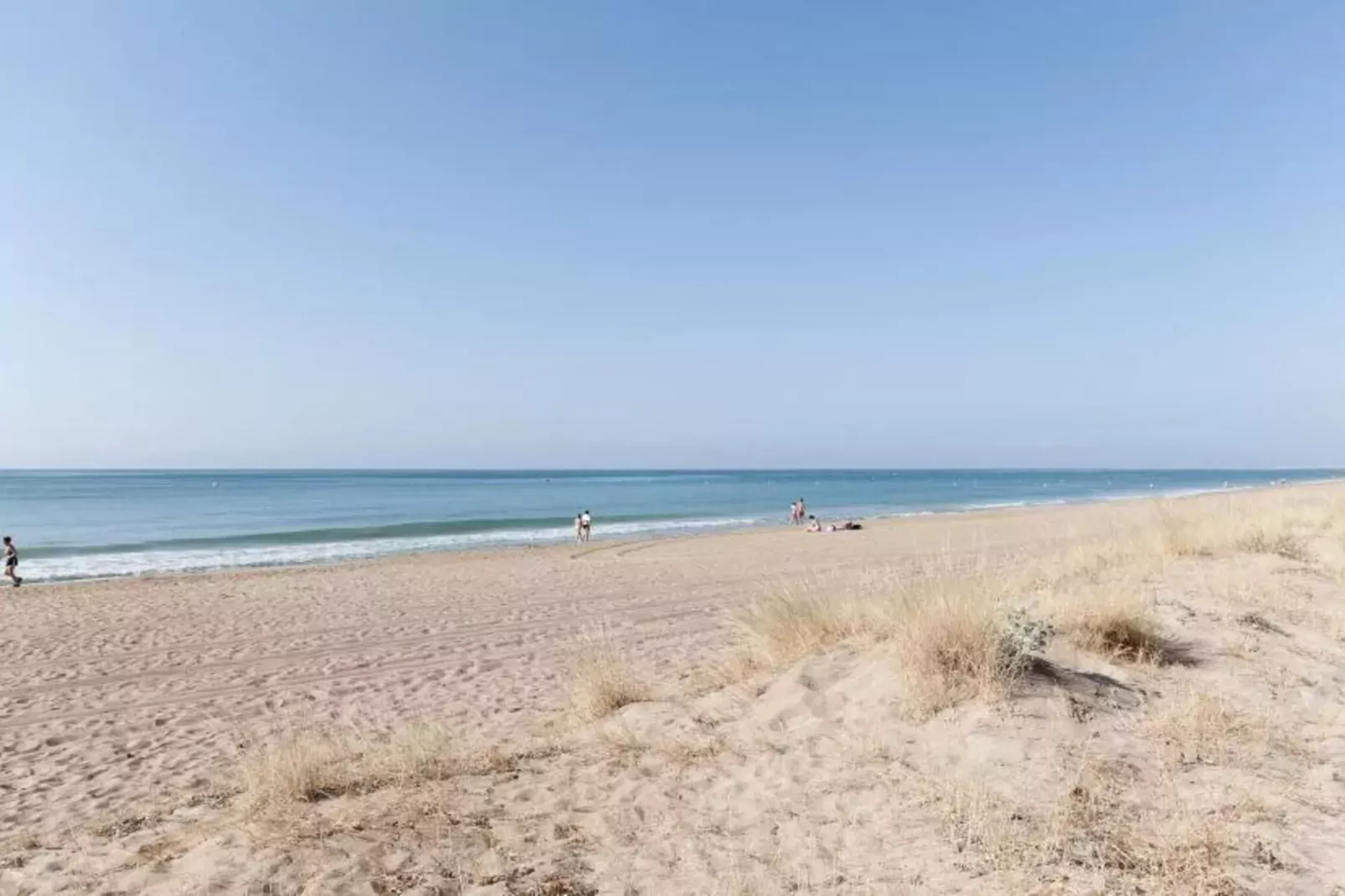 Poema-Gebiete Sommer 1 km