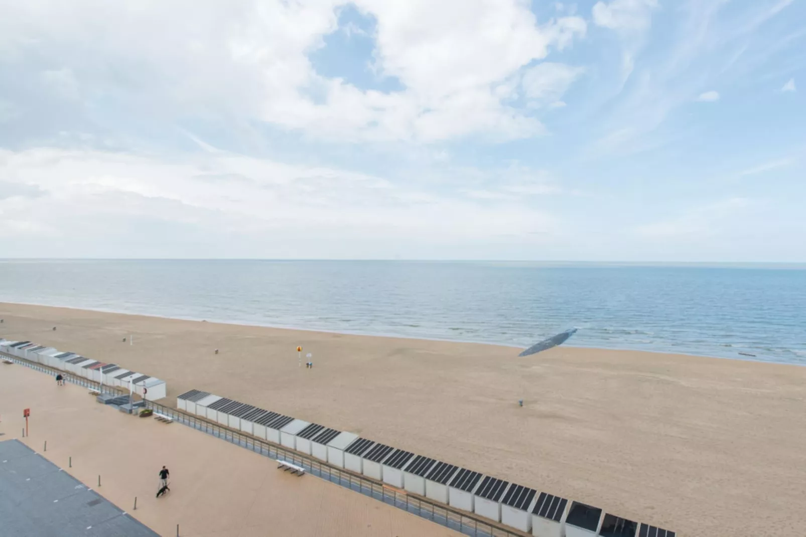 Brighton-View summer