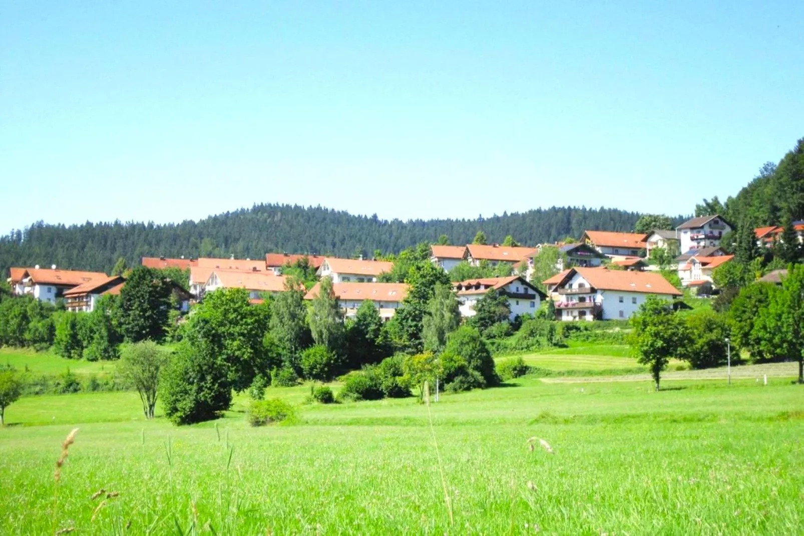 Apartment im Haus Sonntal-Areas summer 1km