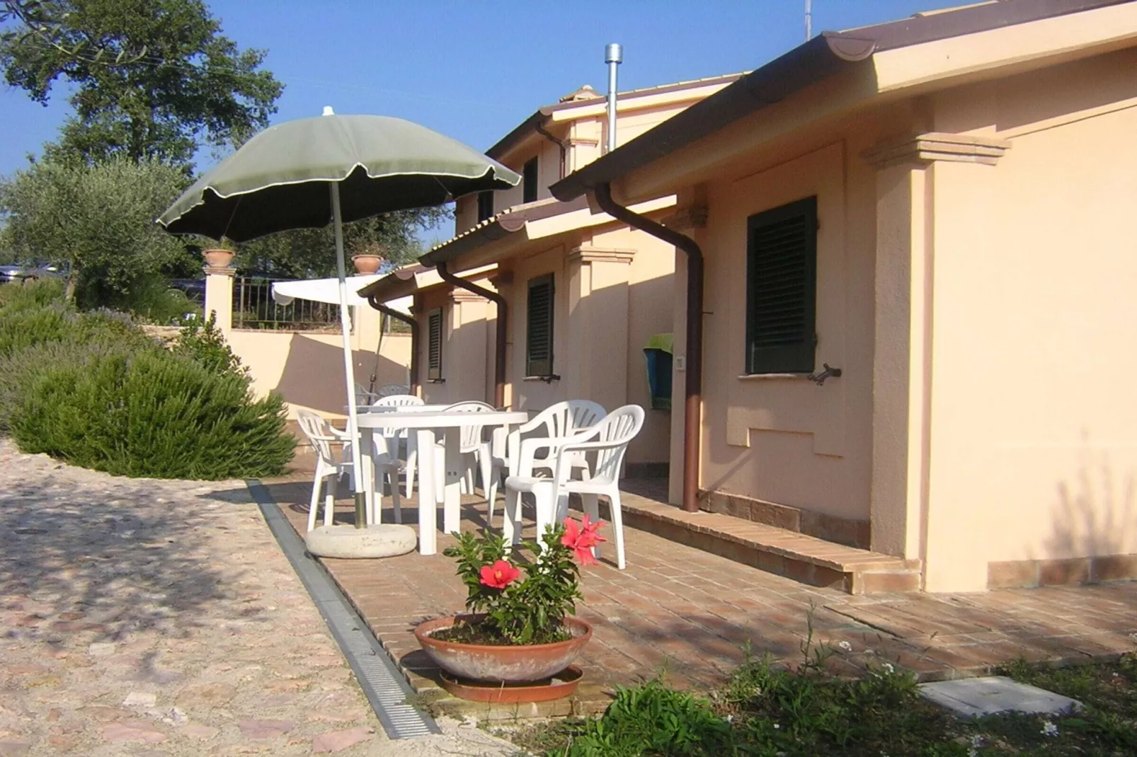 Sagrantino - 10102200