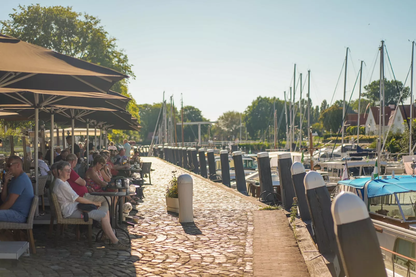 Park Veerse Kreek 1-Gebiete Sommer 5 km