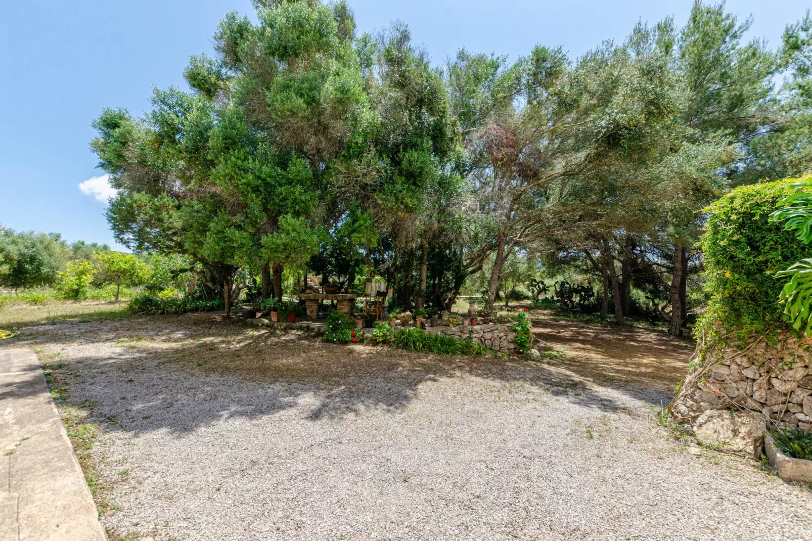 YourHouse Finca Es Galliner-Gärten Sommer