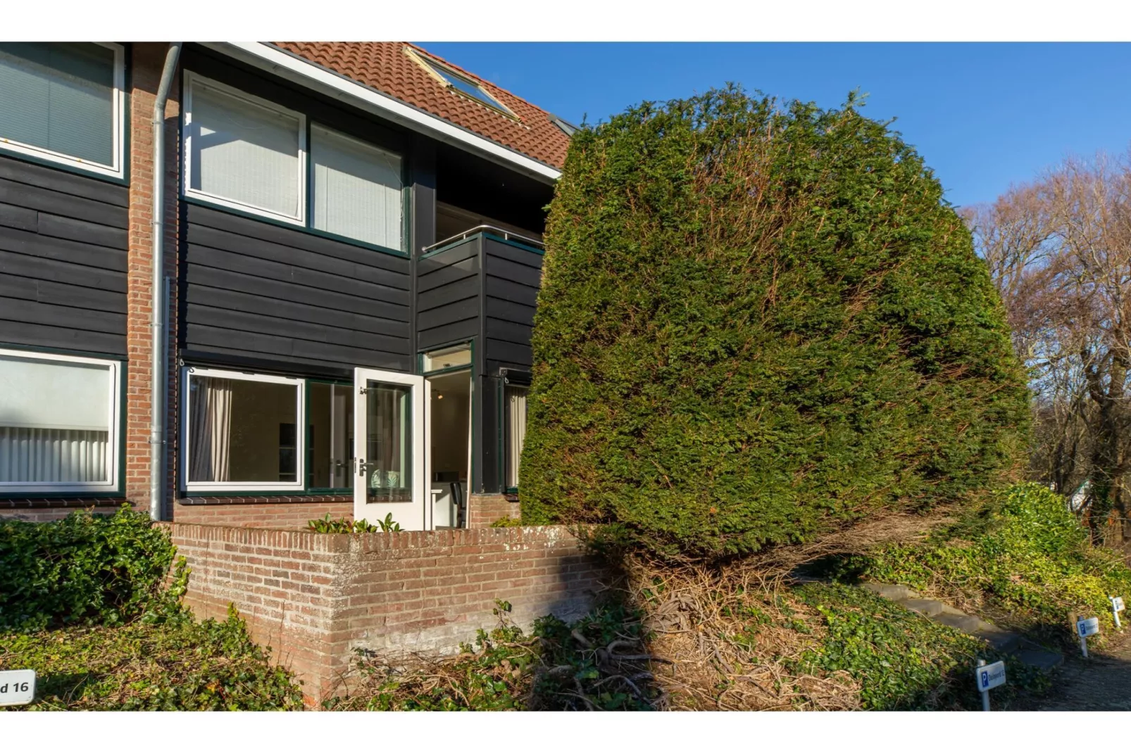 Appartement 'Duinoord' - Duinweg 117-12  Zoutelande-Gardens summer