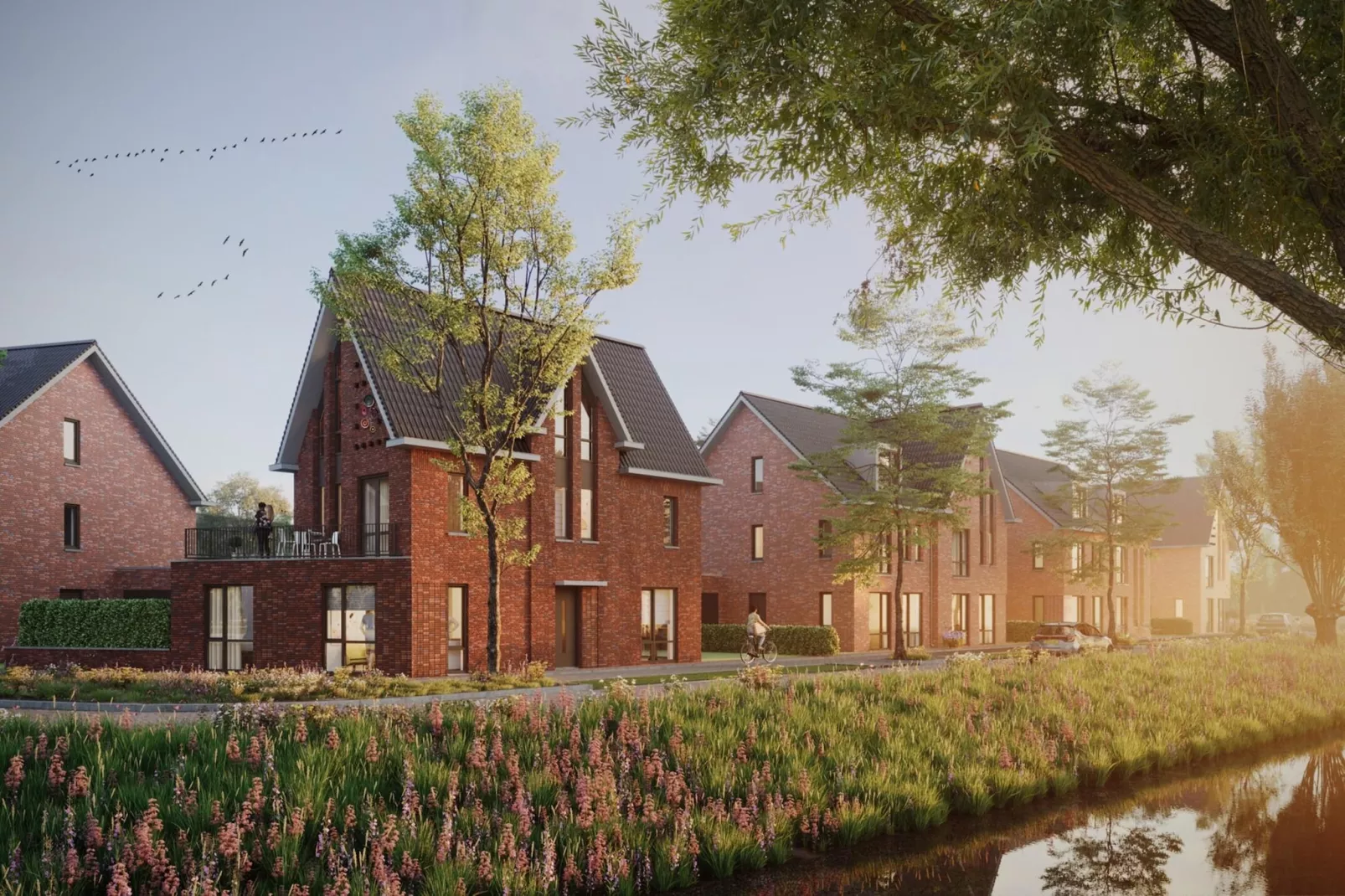 Park Veerse Kreek 4-Gebiete Sommer 1 km