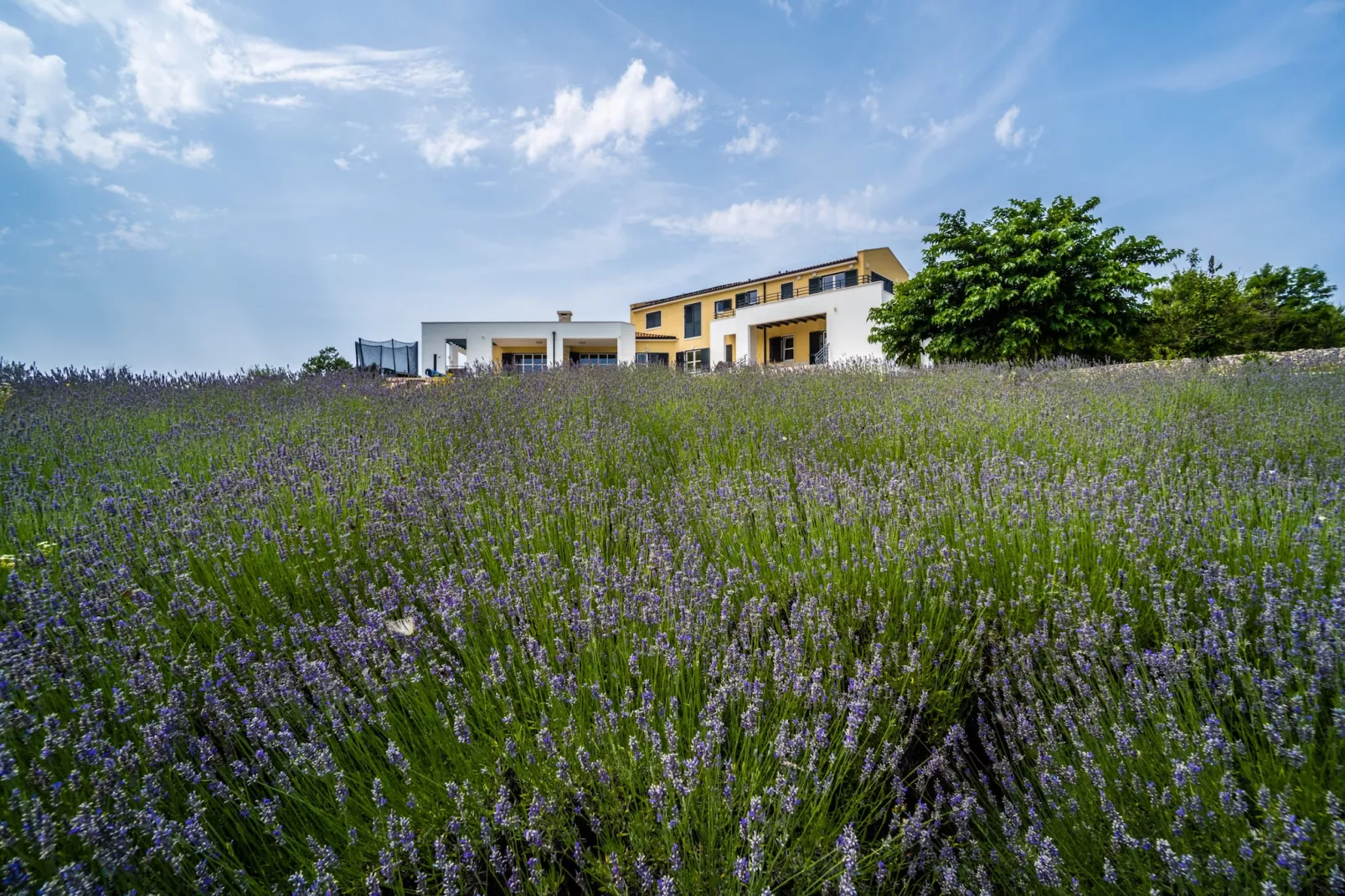 Villa Arkaim with Private Pool-Gardens summer