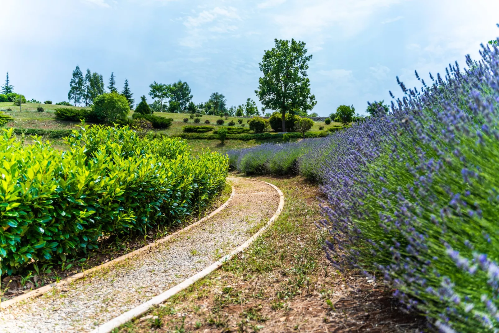 Villa Arkaim with Private Pool-Gardens summer
