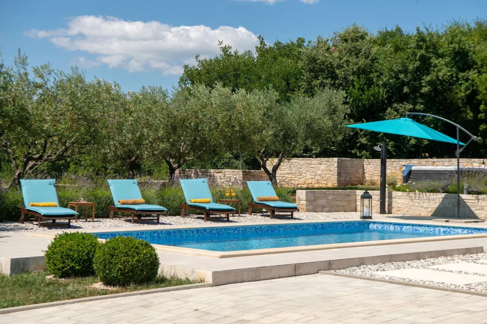 Villa Silentio with Jacuzzi and Pool (4+2)-Pool