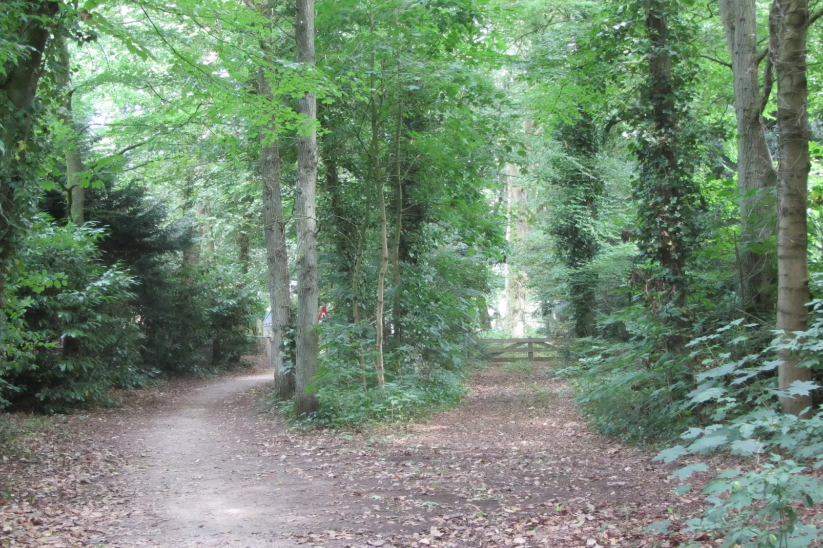 Huisje op de Hei-Areas summer 1km