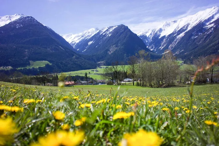Appartement Tauernfenster-View summer