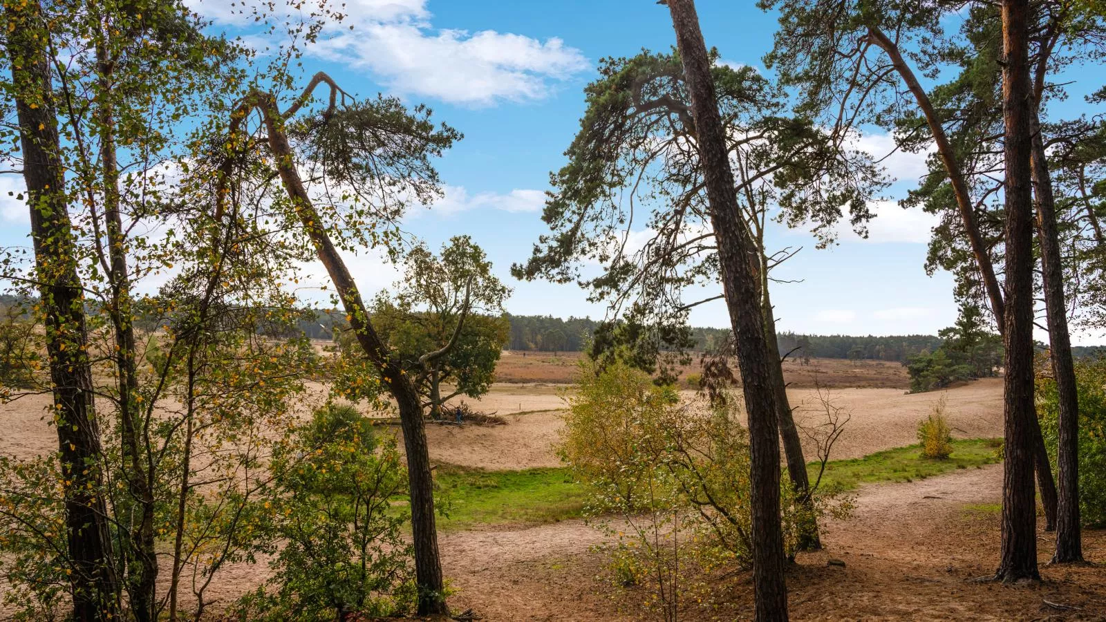 JaNa-Areas summer 5km