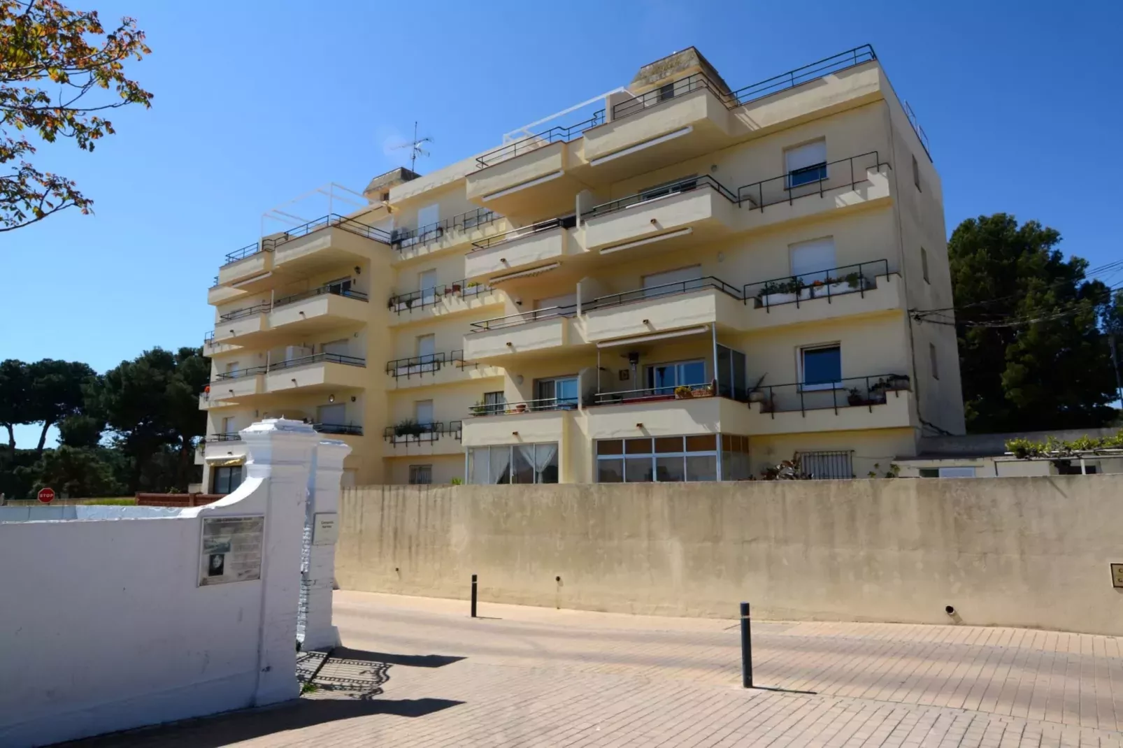 GREGAL 5-Exterior summer