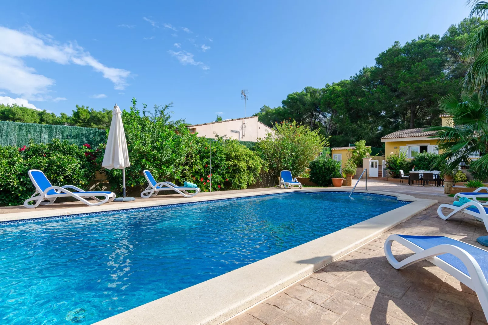 YourHouse Oratge-Pool