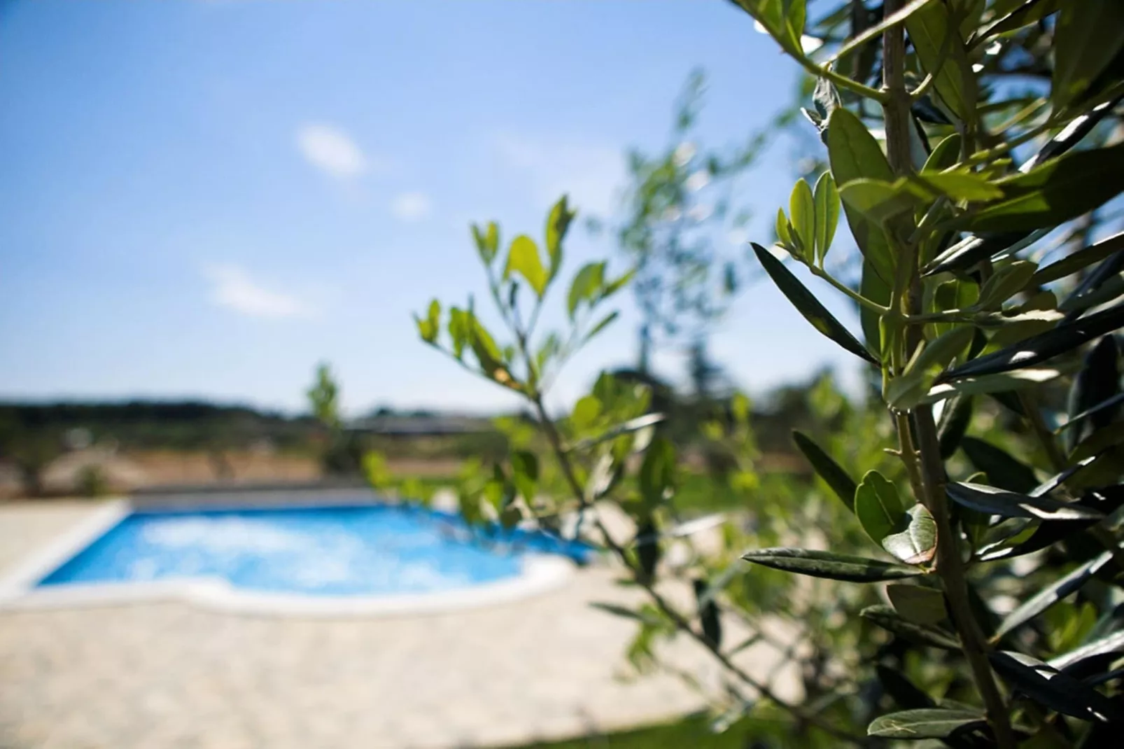 Lovely Apartment Marceta with Shared Pool (2)-Schwimmbad