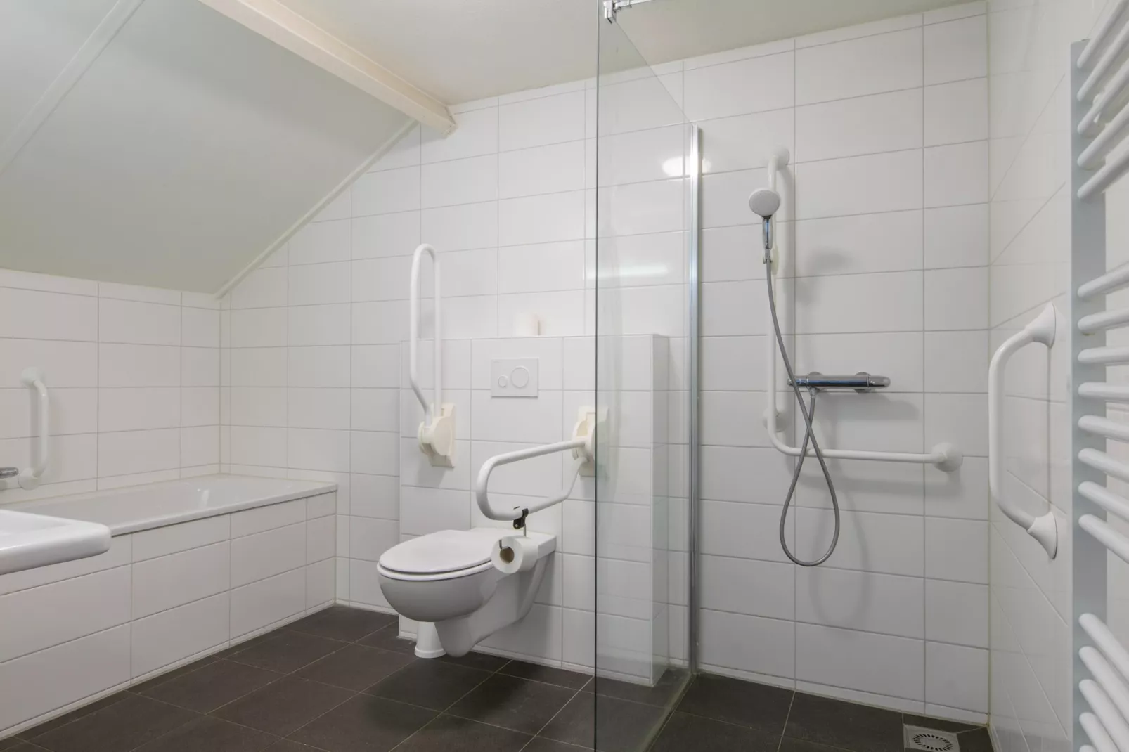 Vakantiepark de Soeten Haert 17-Badezimmer