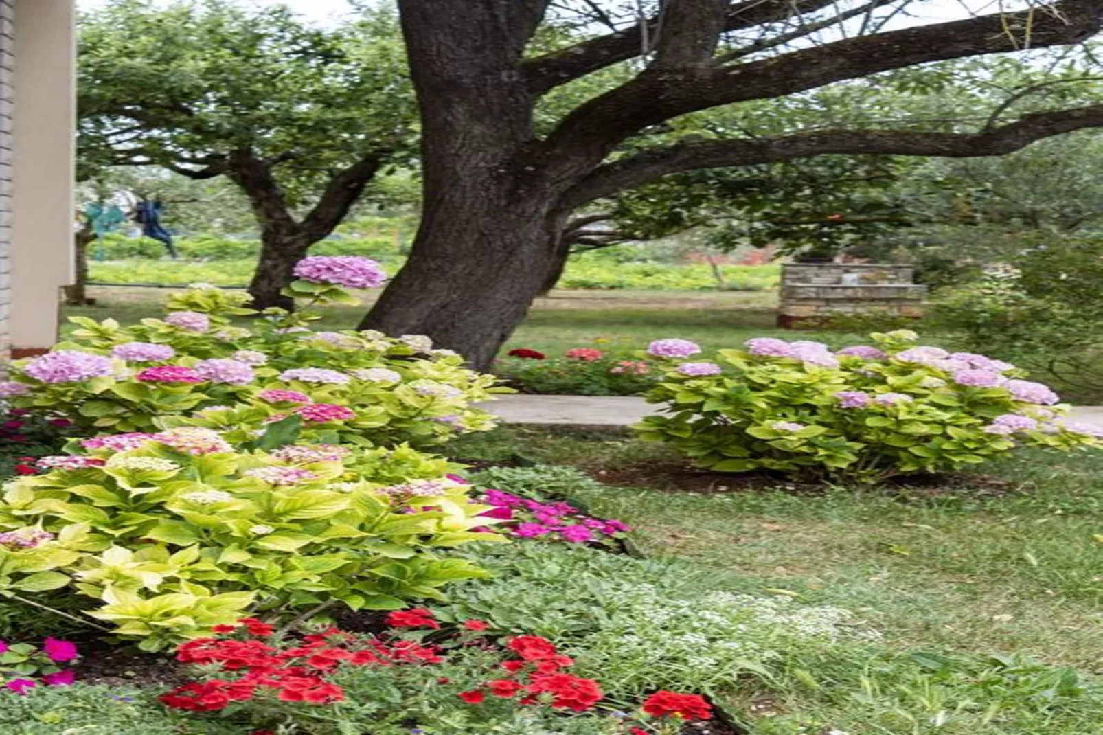 Apt. C - Flower Garden by M&A-Outdoor