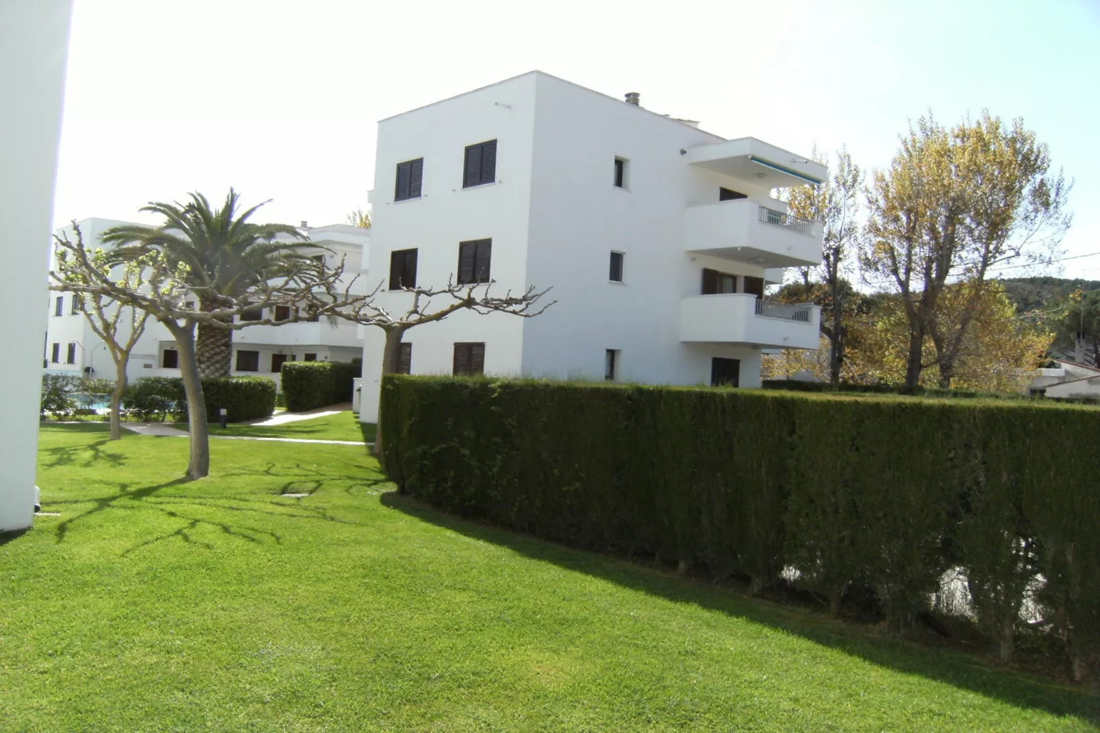 CALA MONTGO 33 - 10212551