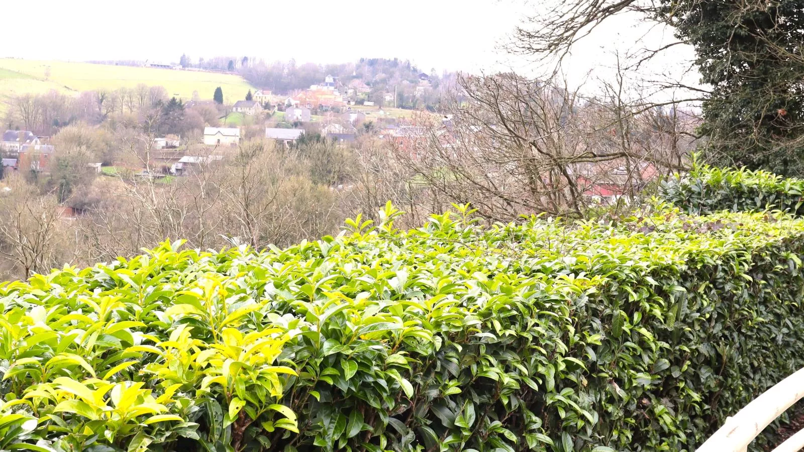 Halinsart-View