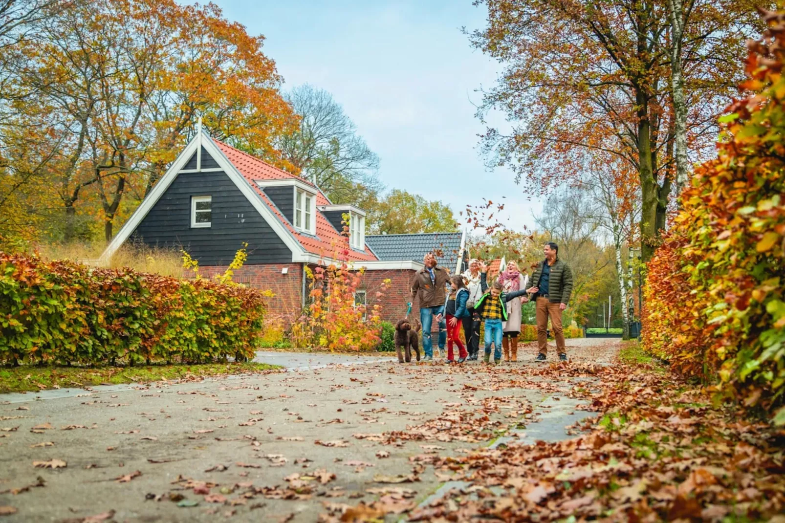 Resort Hooge Veluwe 12-Park facilities