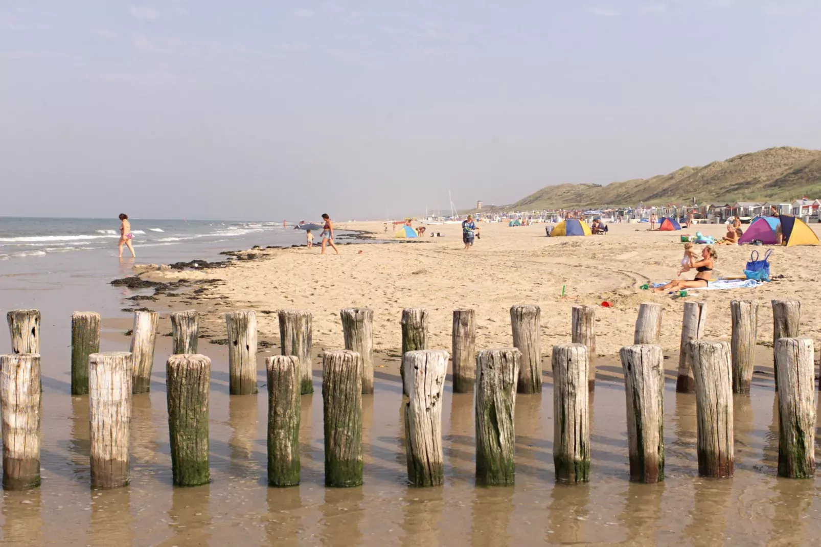 Noordzee Résidence Dishoek 12-Areas summer 1km