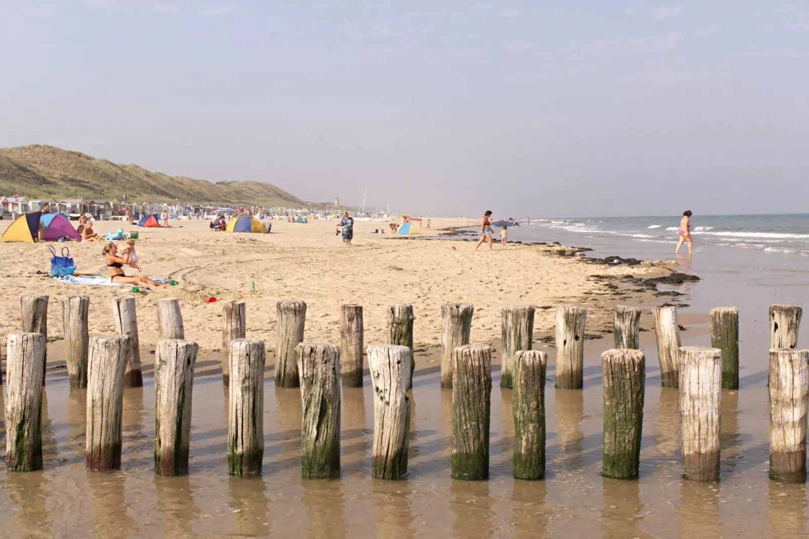 Noordzee Résidence Dishoek 13-Areas summer 1km