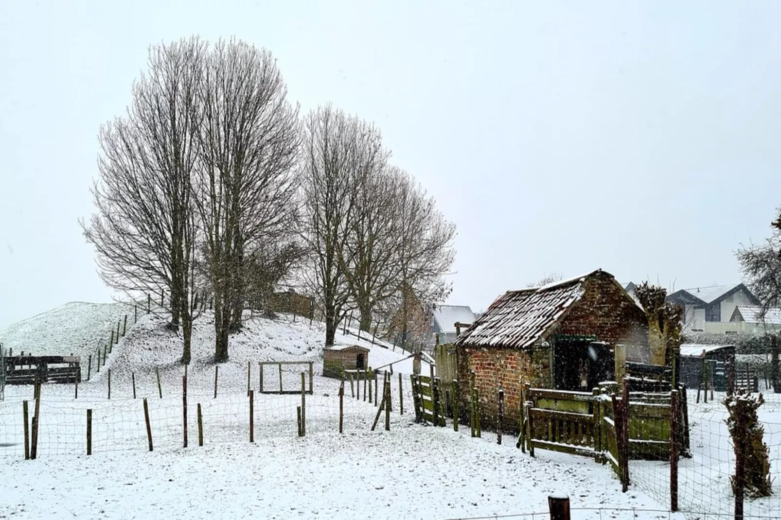 Zoutelandseweg 2 Biggekerke-Area winter 5km