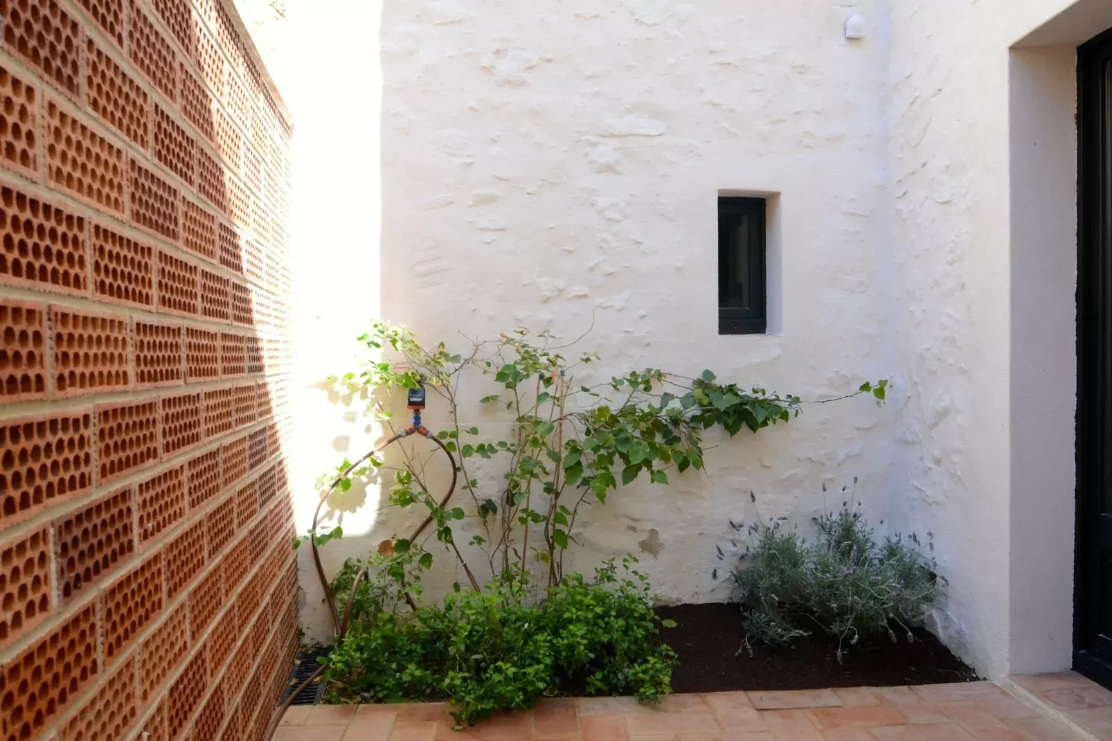 CASA ROSA DEL PORT-Atmosphere