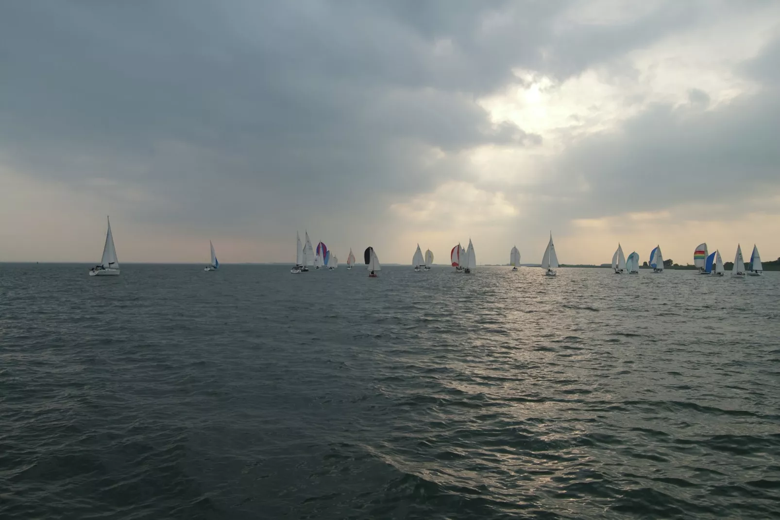 Villapark De Oesterbaai 15-Areas summer 5km