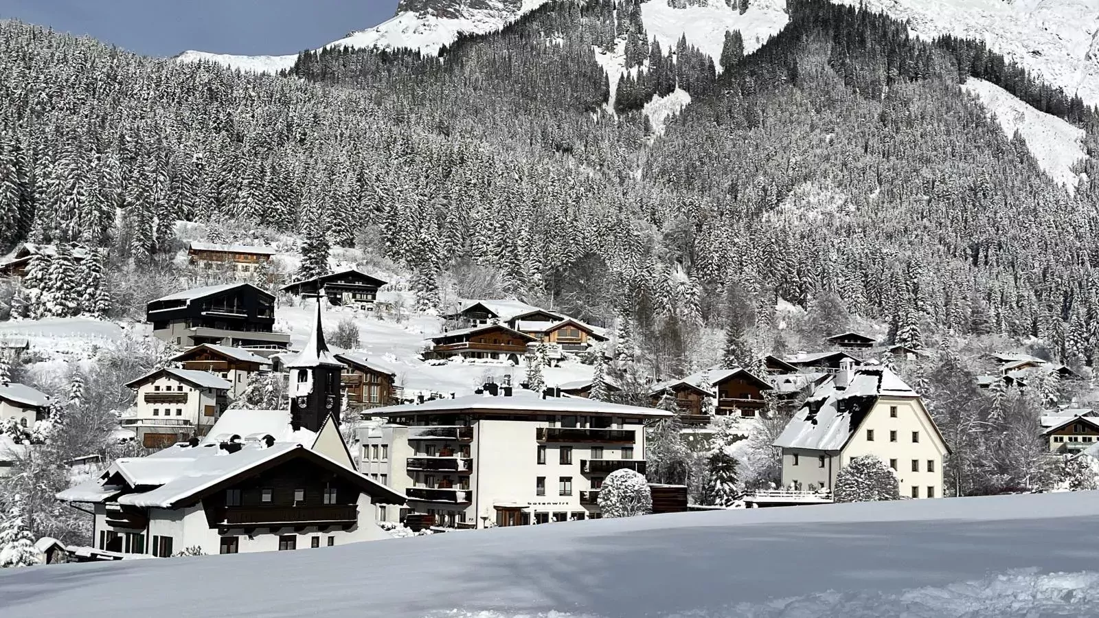 Edelweiss top 7-Exterior winter