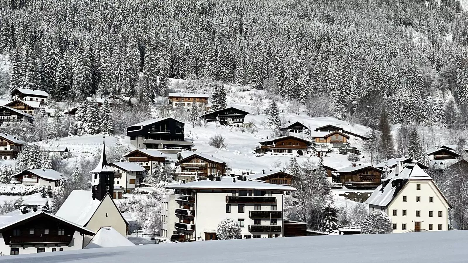 Edelweiss top 7-Exterior winter