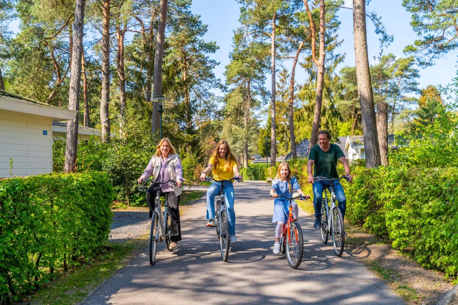 Resort Beekbergen 1-Park facilities