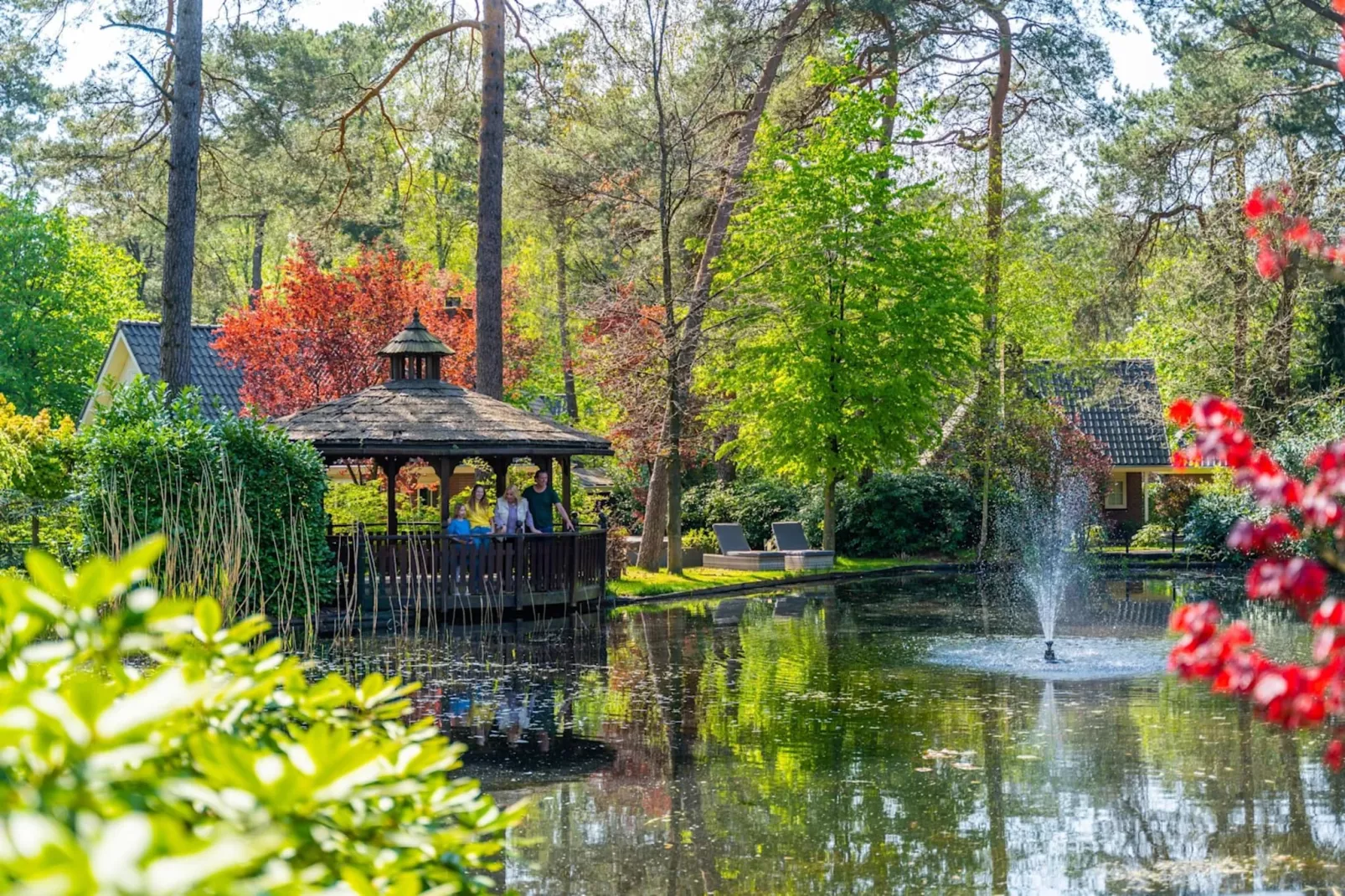 Resort Beekbergen 8-Park facilities