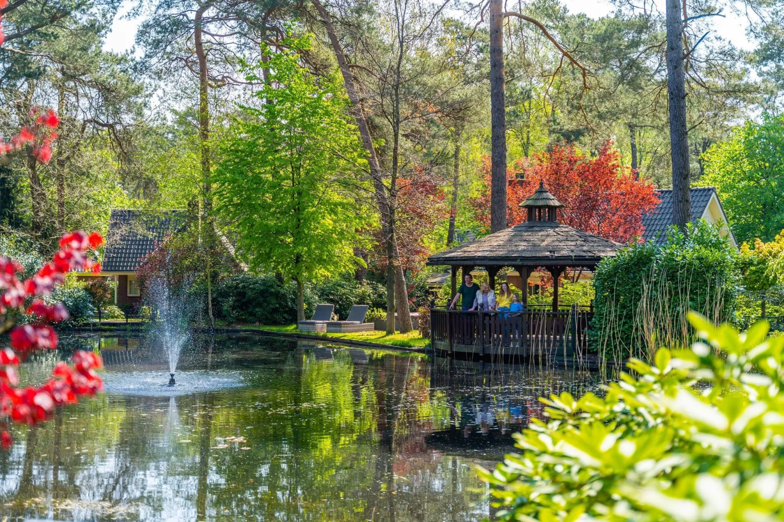 Resort Beekbergen 8-Areas summer 1km