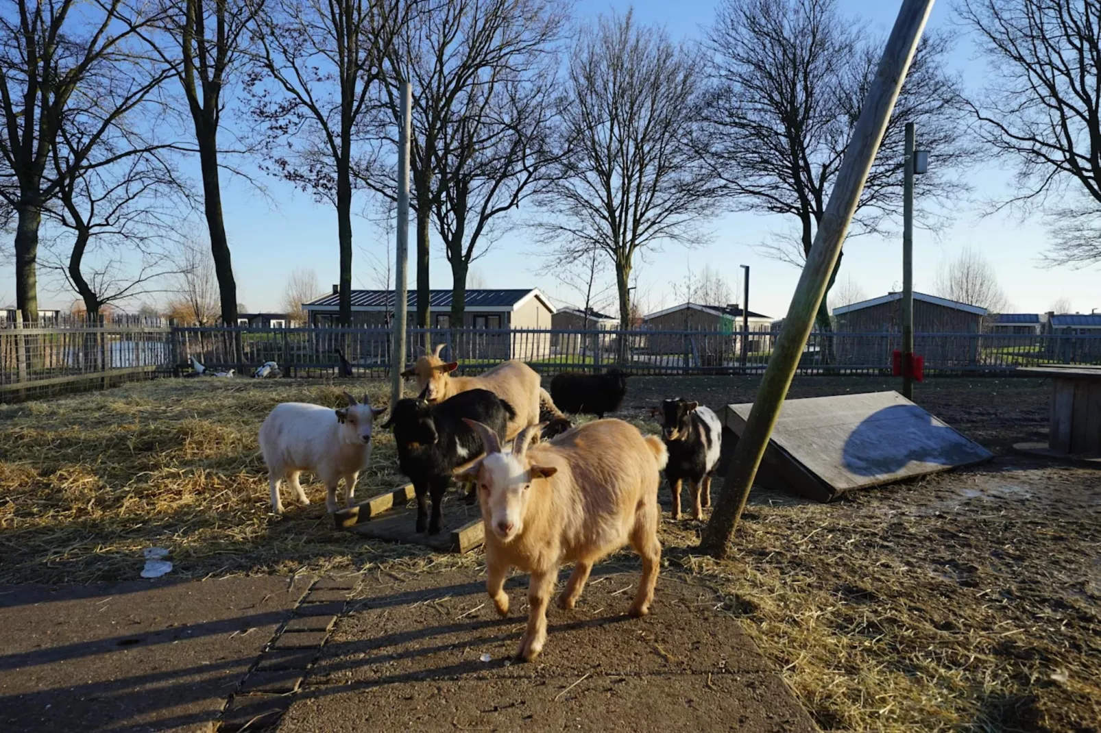 Resort De IJssel Eilanden 8-Park facilities
