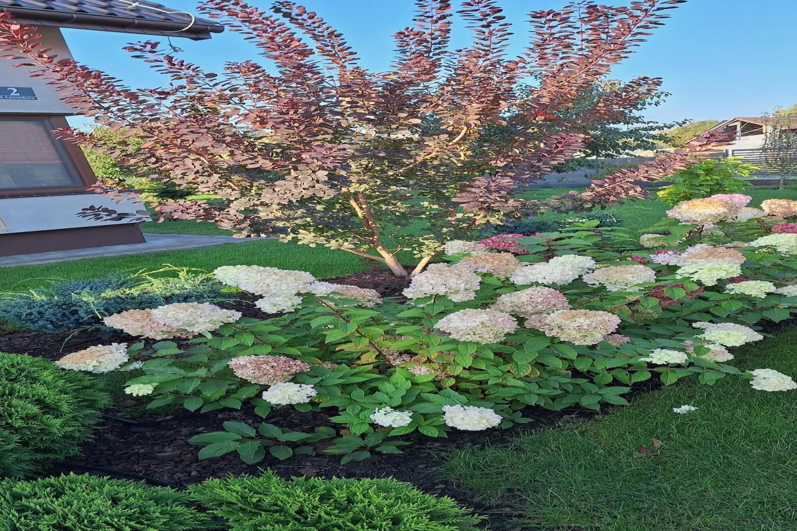 Komfortowy apartament z basenem i ogrodem dla 6 osób w Stepniczce-Gardens summer
