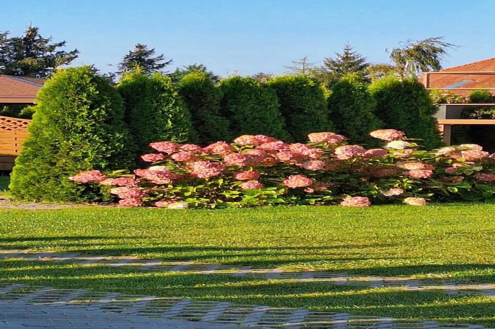Komfortowy apartament z basenem i ogrodem dla 6 osób w Stepniczce-Gardens summer