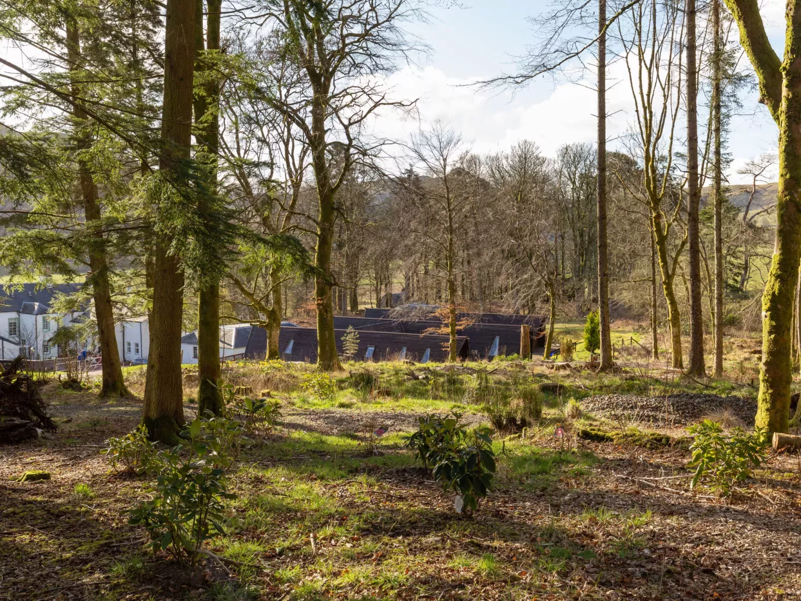 Doonans Cottage-Dehors