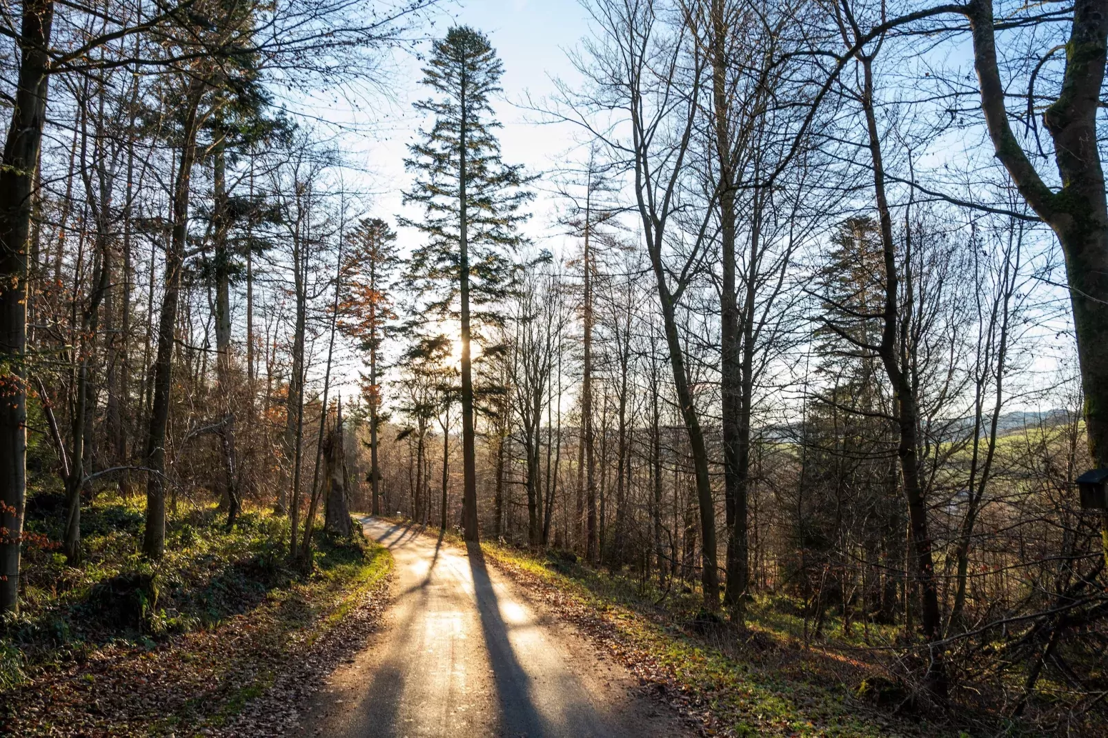 Yalet-Gebiete Sommer 1 km