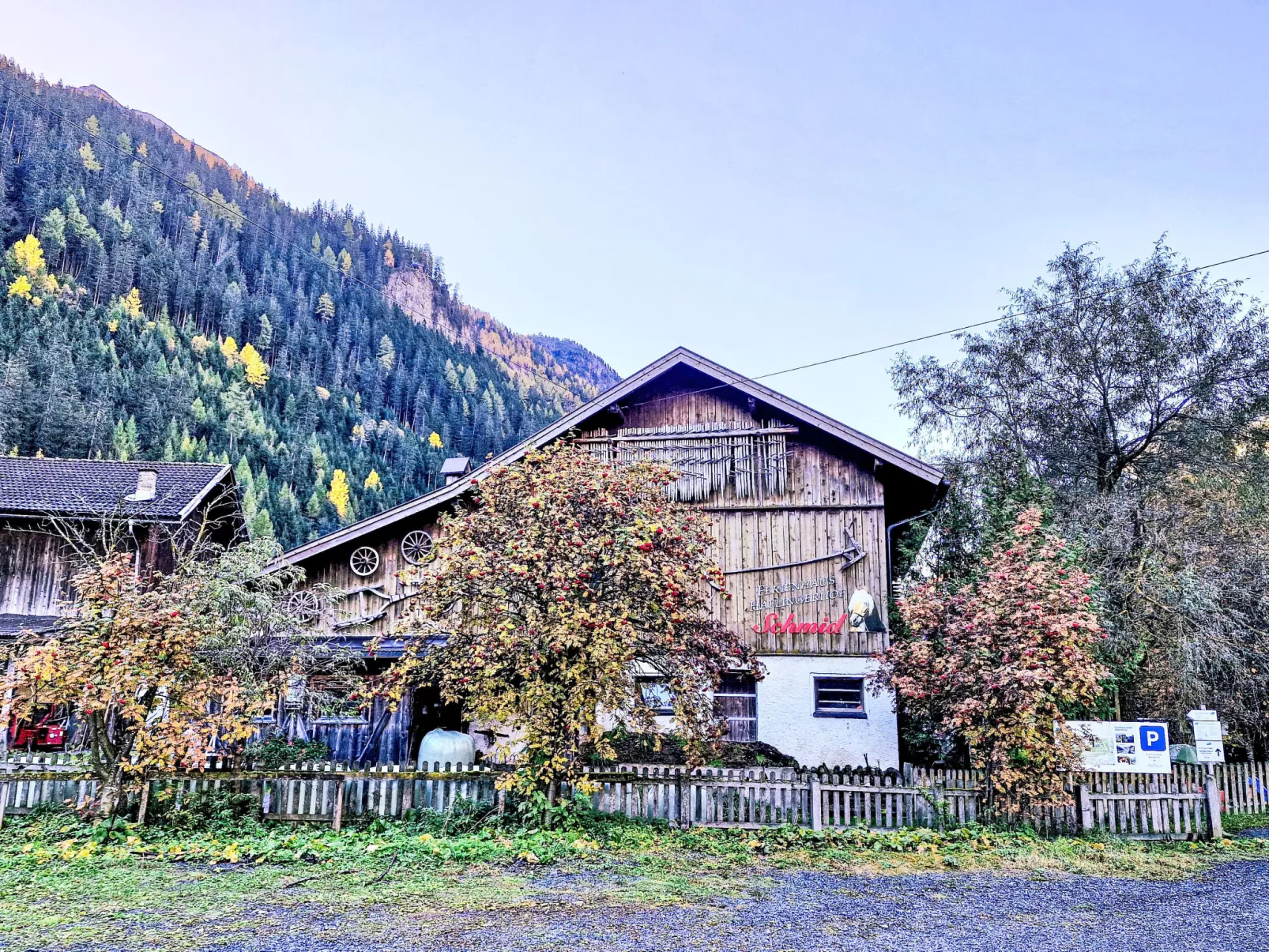 Haflingerhof Almrose-Outside