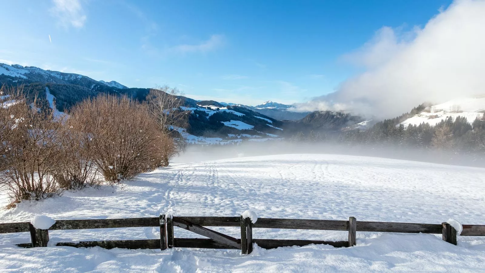 Hütte zum Dillental-View winter