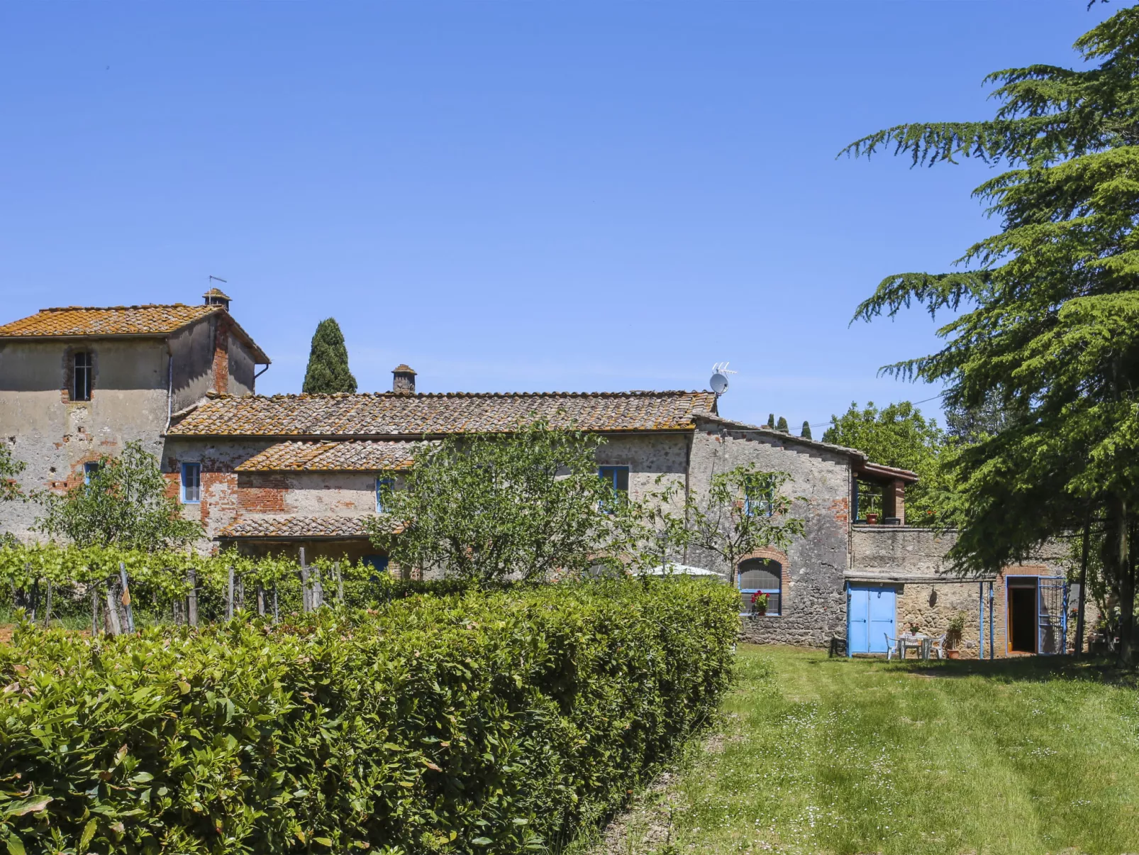 Fattoria Petraglia - Cedro-Draußen