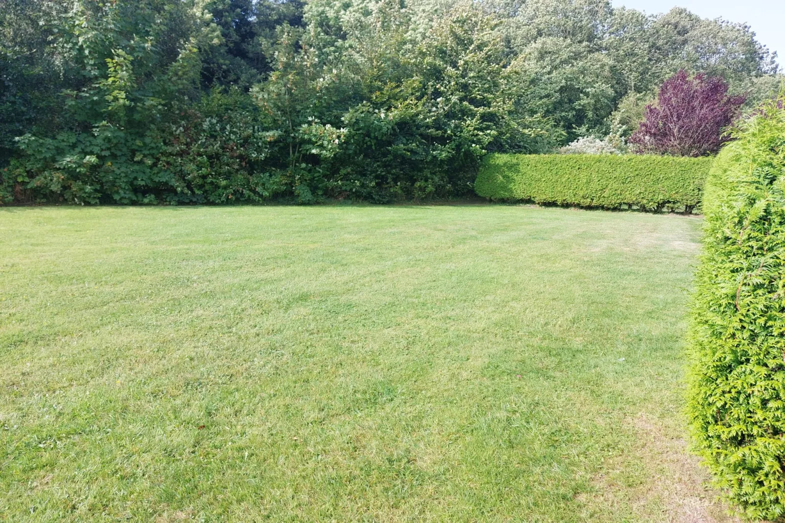 Doppelhaushälfte Wattwurm 34-Gardens summer