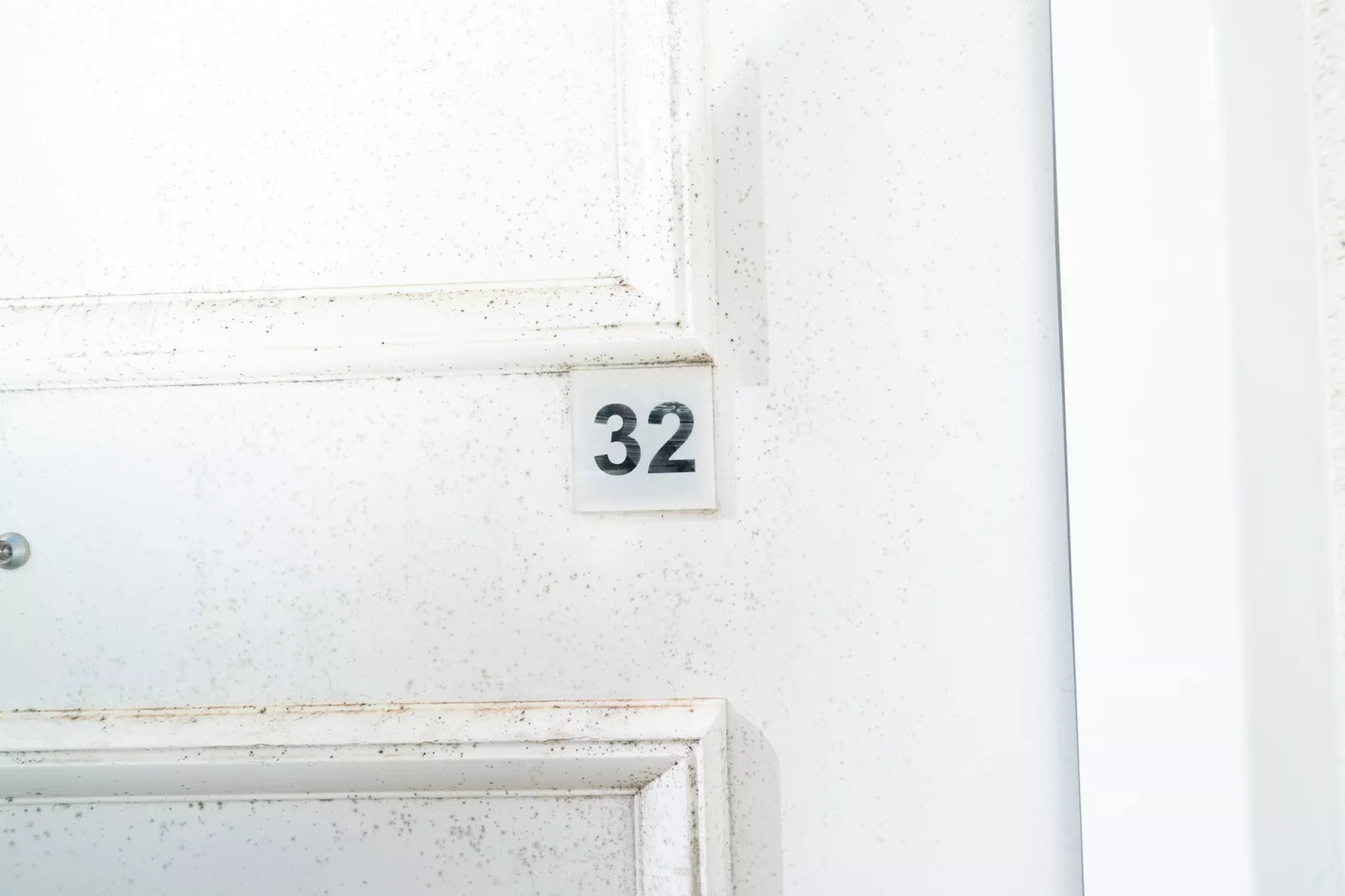 La Dune N°32 - Villa 2P4-Atmosphere
