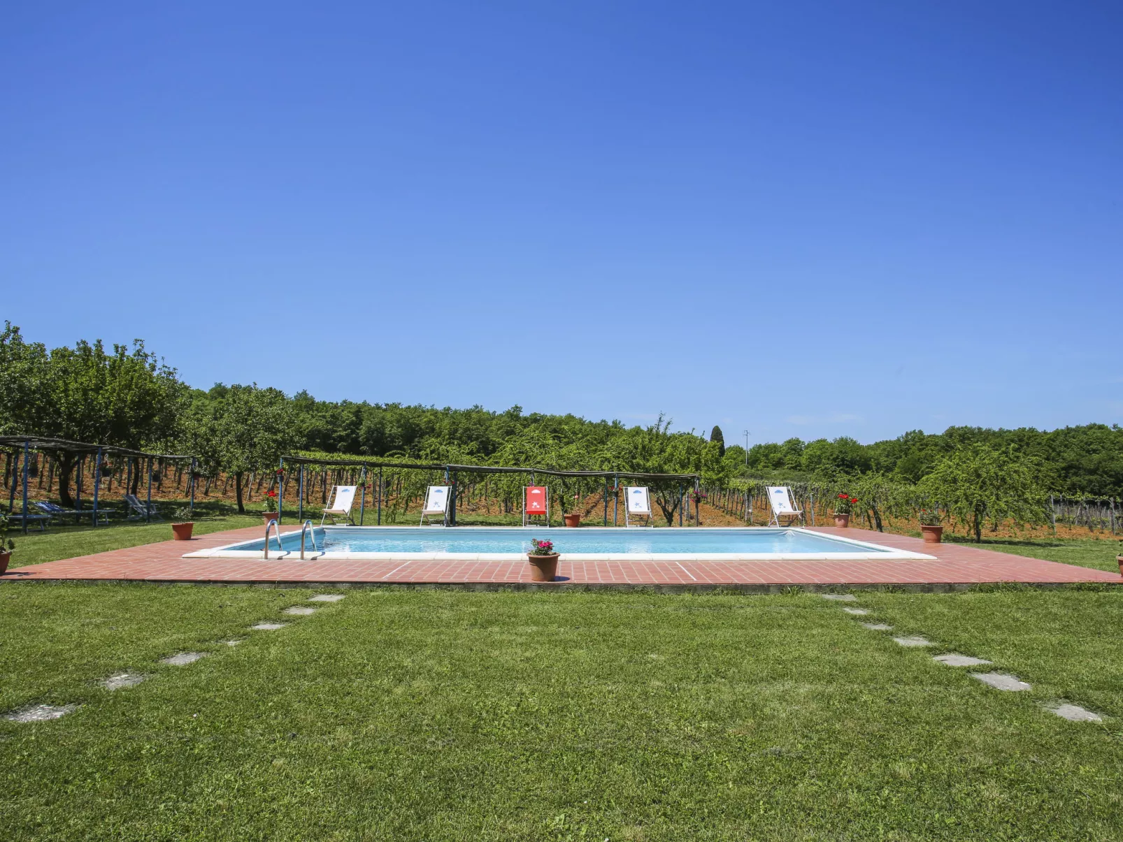 Fattoria Petraglia - Terrazza-Outside