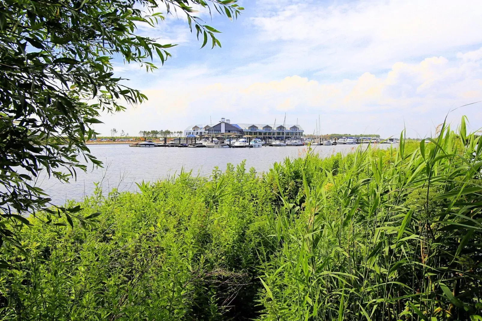Resort Waterrijk Oesterdam 2-Gebiete Sommer 1 km
