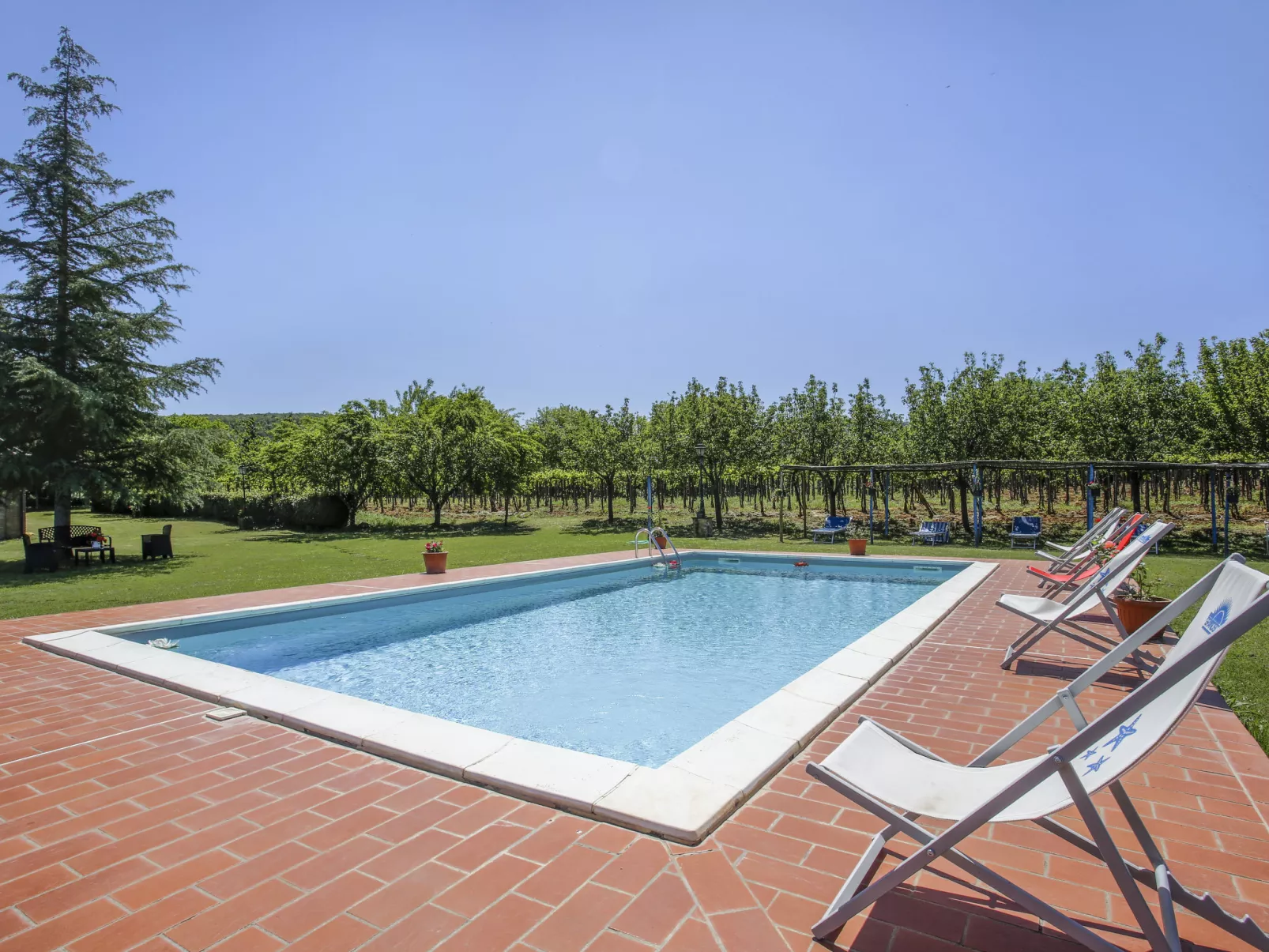 Fattoria Petraglia - Terrazza-Outside