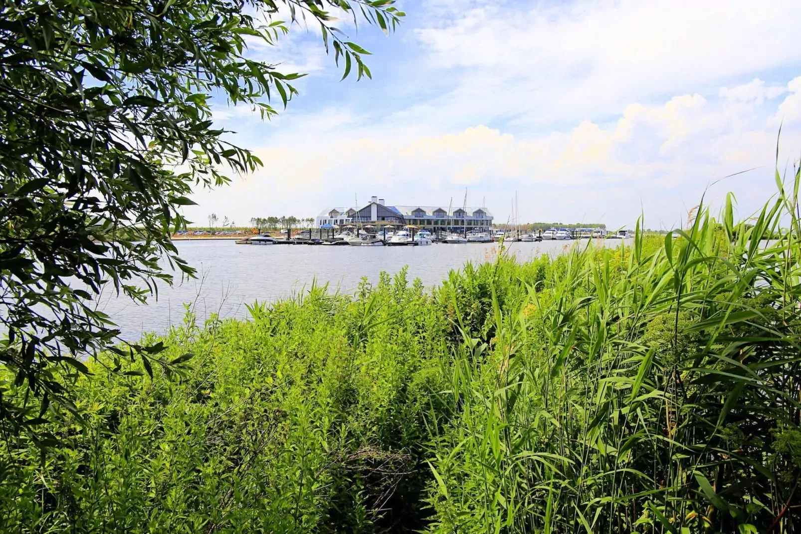 Resort Waterrijk Oesterdam 5-Gärten Sommer