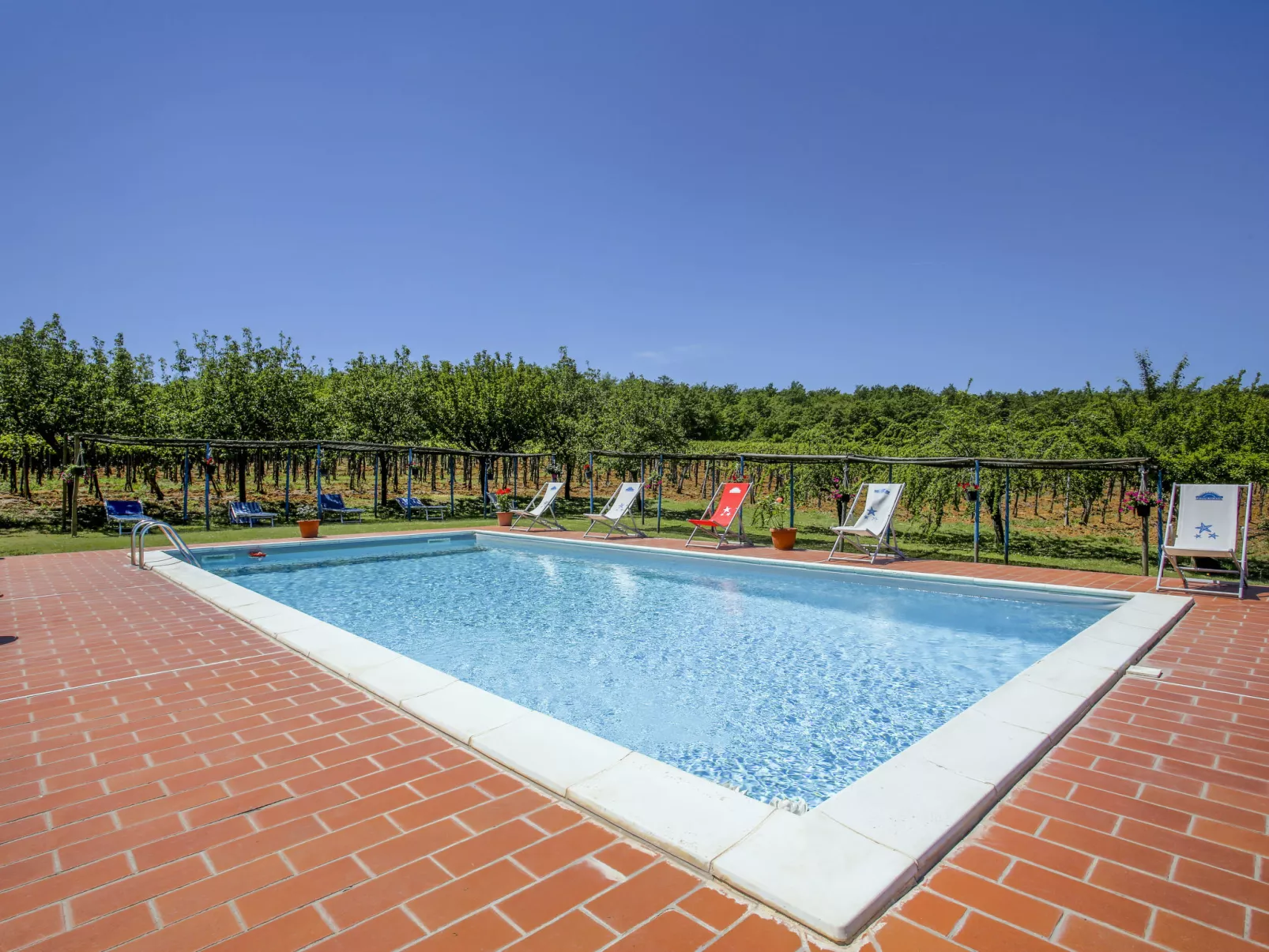 Fattoria Petraglia - Terrazza-Outside