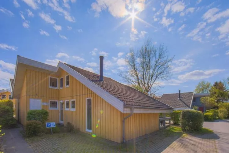 FH Wildgans Comfort Nr 138-Exterior summer